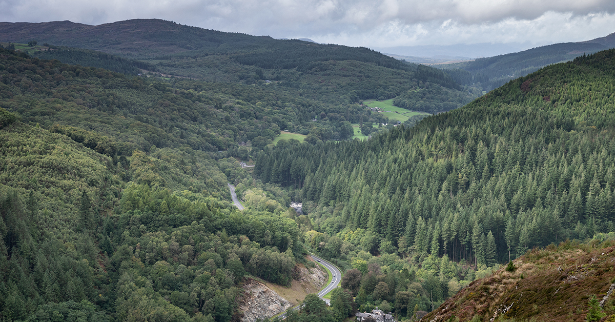 Coed y Brenin